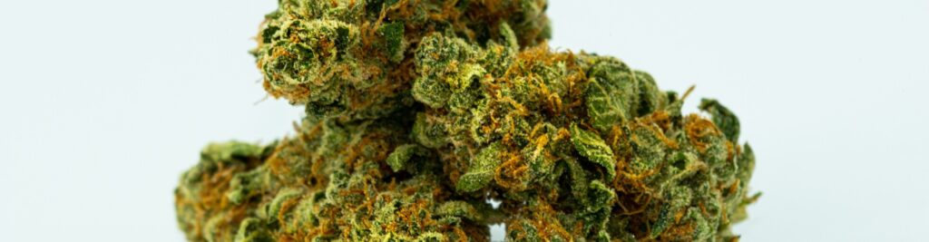 Worauf soll ich achten, wenn ich das erste Mal Cannabis nutze? 3 avery meeker 2rW8lq0NgPU unsplash