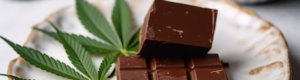 Hash-Schokolade Grundrezept 6 cannabis schokolade auf weissem teller auf hellem tisch