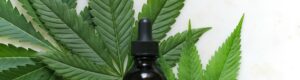 cannabis tinktur rezept