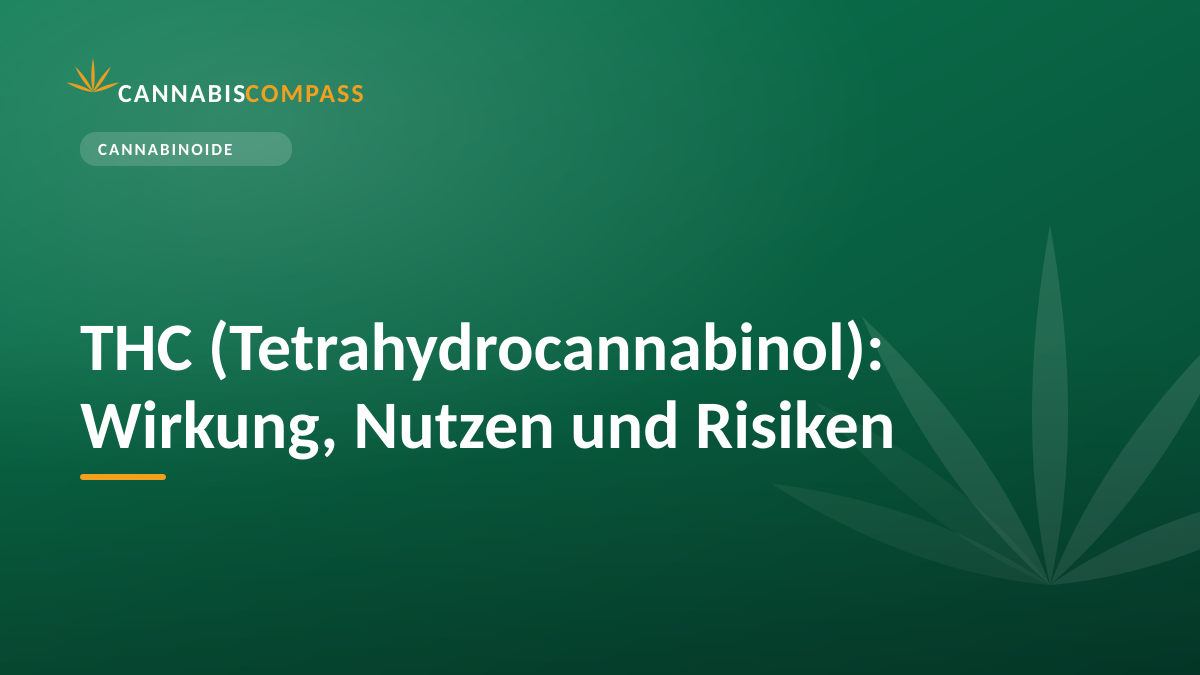 THC (Tetrahydrocannabinol): Wirkung, Nutzen und Risiken 1 THC (Tetrahydrocannabinol): Wirkung, Nutzen und Risiken