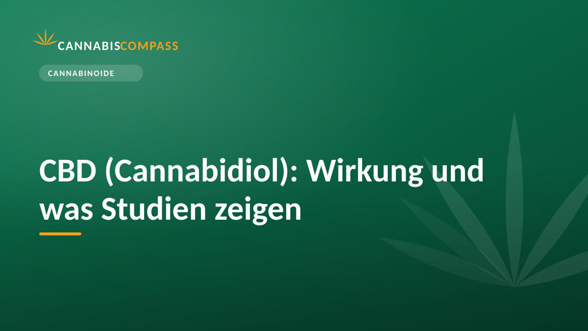 CBD (Cannabidiol): Wirkung und was Studien zeigen