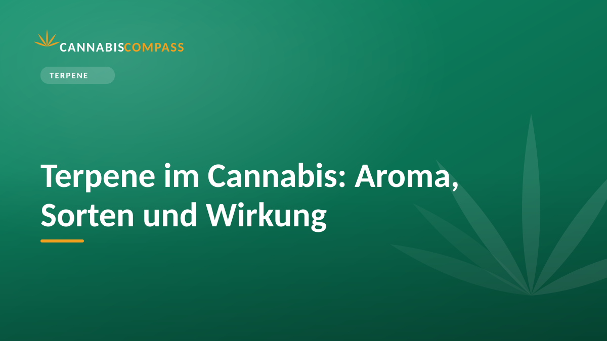 Terpene im Cannabis: Aroma, Sorten und Wirkung 1 Terpene im Cannabis: Aroma, Sorten und Wirkung