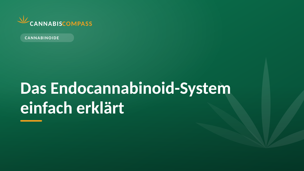 Das Endocannabinoid-System einfach erklärt 1 Das Endocannabinoid-System einfach erklärt