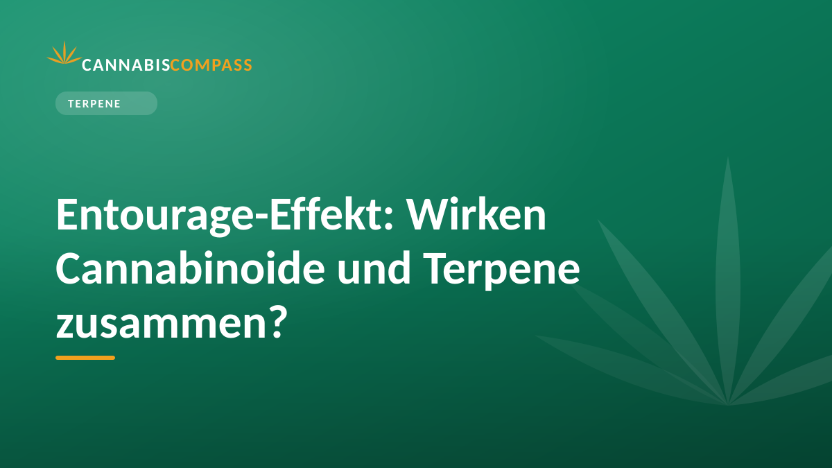 Entourage-Effekt: Wirken Cannabinoide und Terpene zusammen? 1 Entourage-Effekt: Wirken Cannabinoide und Terpene zusammen?