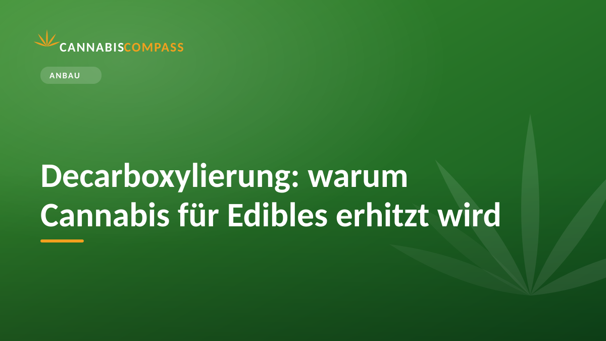 Decarboxylierung: warum Cannabis für Edibles erhitzt wird