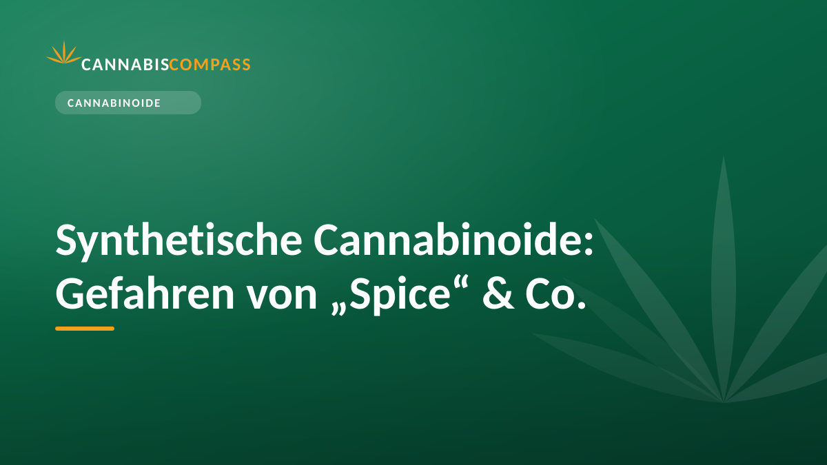 Synthetische Cannabinoide: Gefahren von „Spice“ & Co.