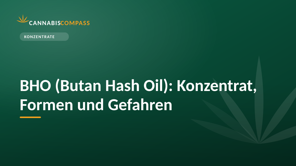 BHO (Butan Hash Oil): Konzentrat, Formen und Gefahren 1 BHO (Butan Hash Oil): Konzentrat, Formen und Gefahren