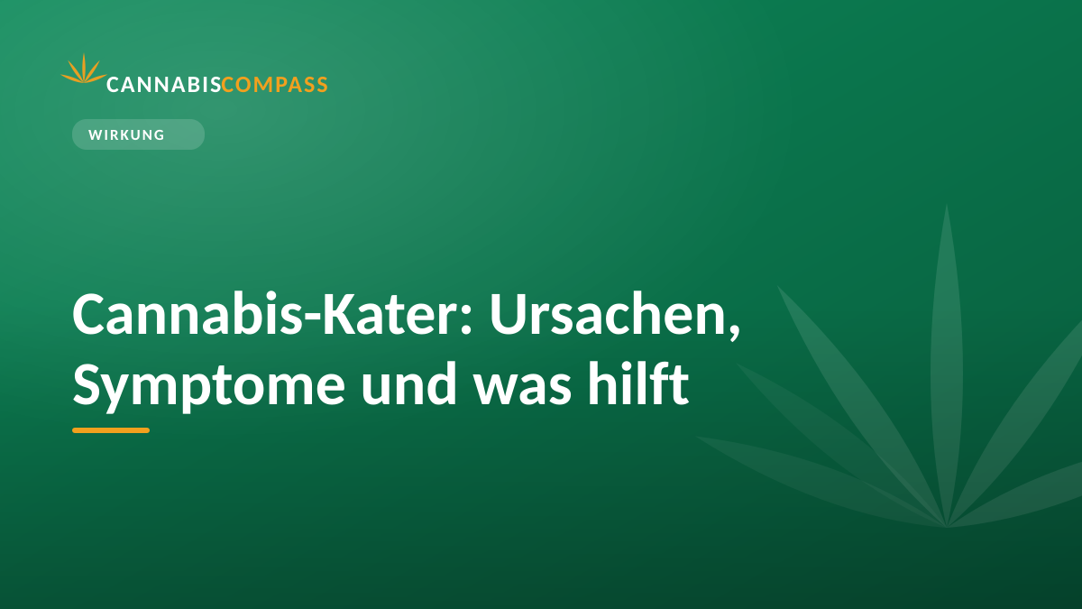 Cannabis-Kater: Ursachen, Symptome und was hilft 1 Cannabis-Kater: Ursachen, Symptome und was hilft