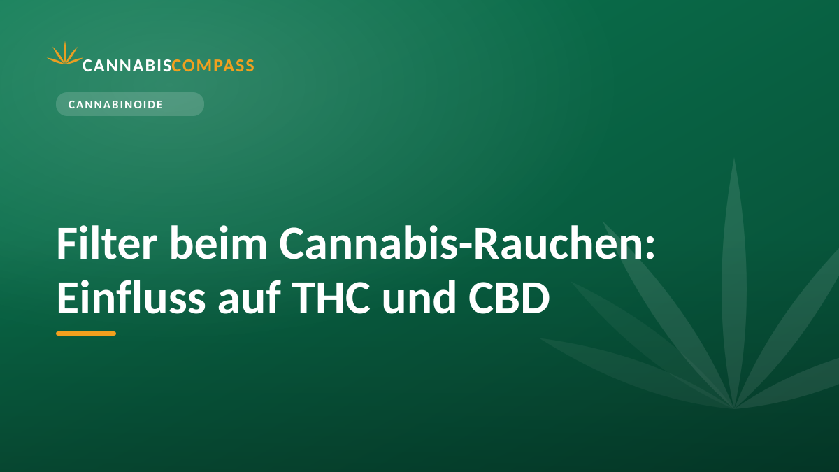 Filter beim Cannabis-Rauchen: Einfluss auf THC und CBD 1 Filter beim Cannabis-Rauchen: Einfluss auf THC und CBD