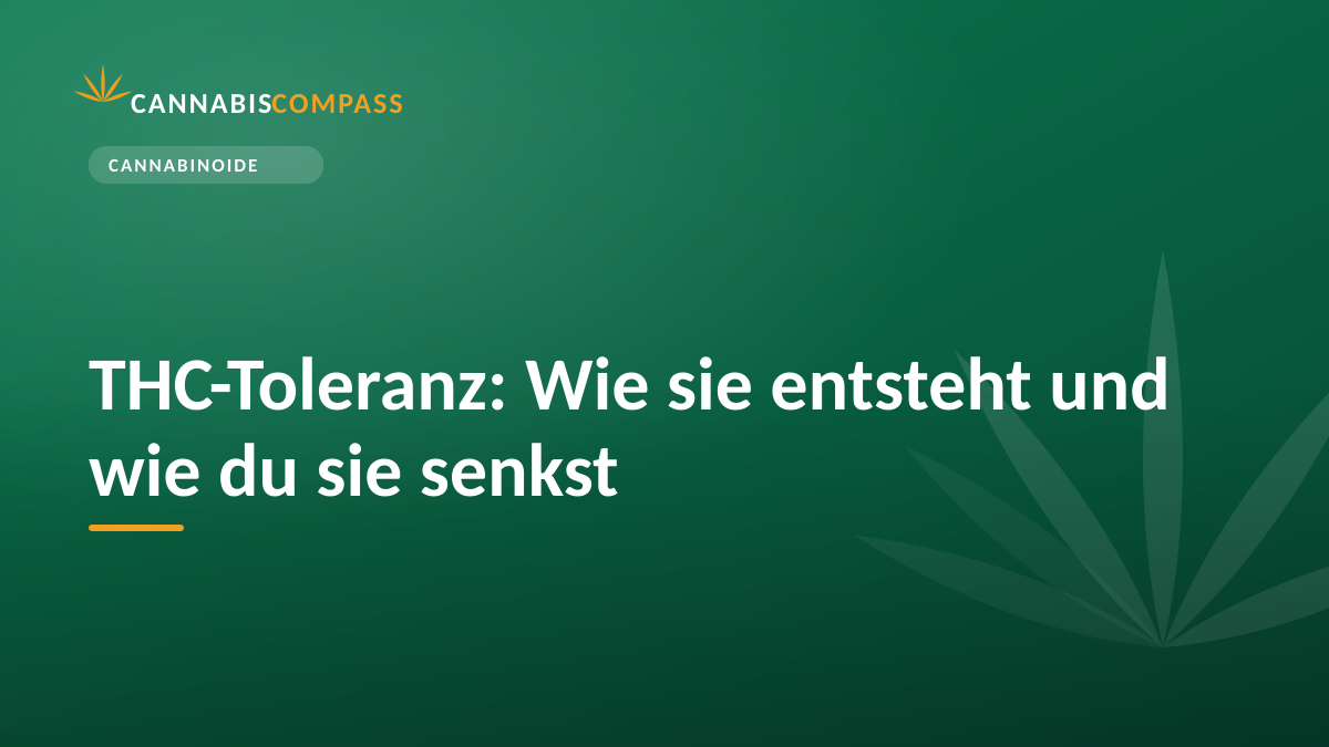 THC-Toleranz: Wie sie entsteht und wie du sie senkst 1 THC-Toleranz: Wie sie entsteht und wie du sie senkst