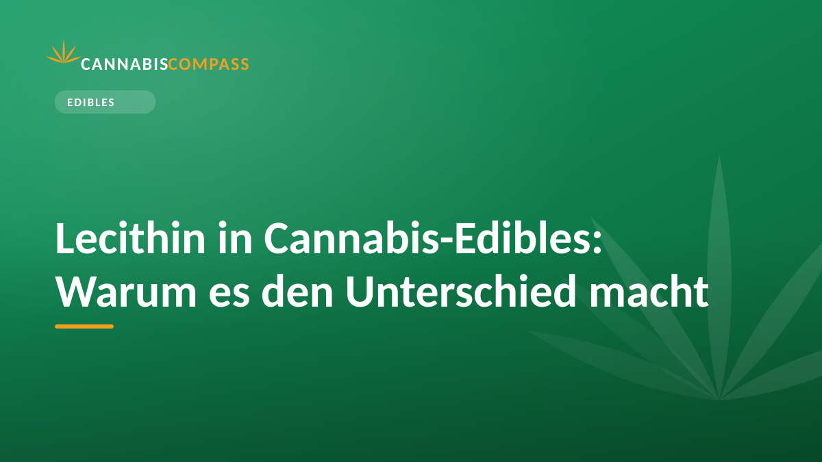 Lecithin in Cannabis-Edibles: Warum es den Unterschied macht 1 Lecithin in Cannabis-Edibles: Warum es den Unterschied macht