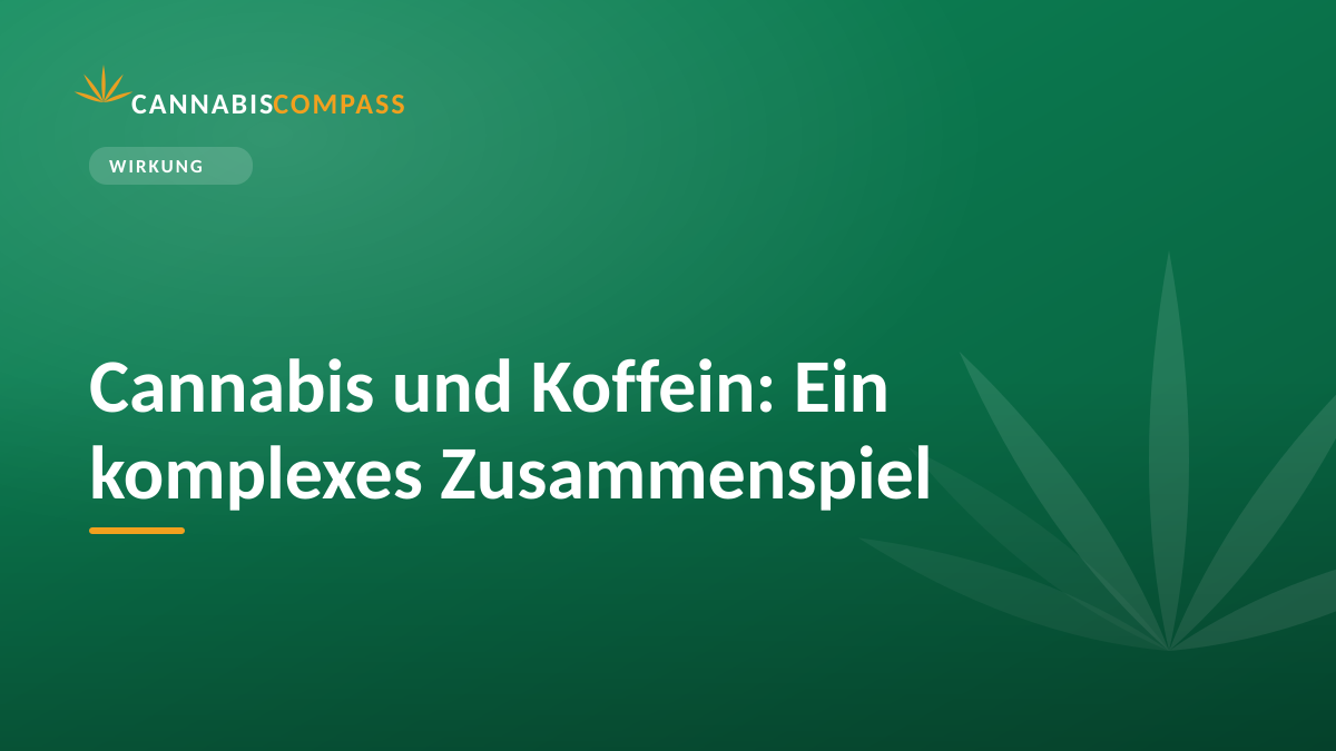 Cannabis und Koffein: Ein komplexes Zusammenspiel
