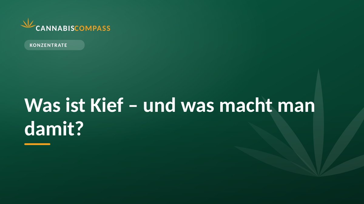 Was ist Kief – und was macht man damit? 1 Was ist Kief – und was macht man damit?