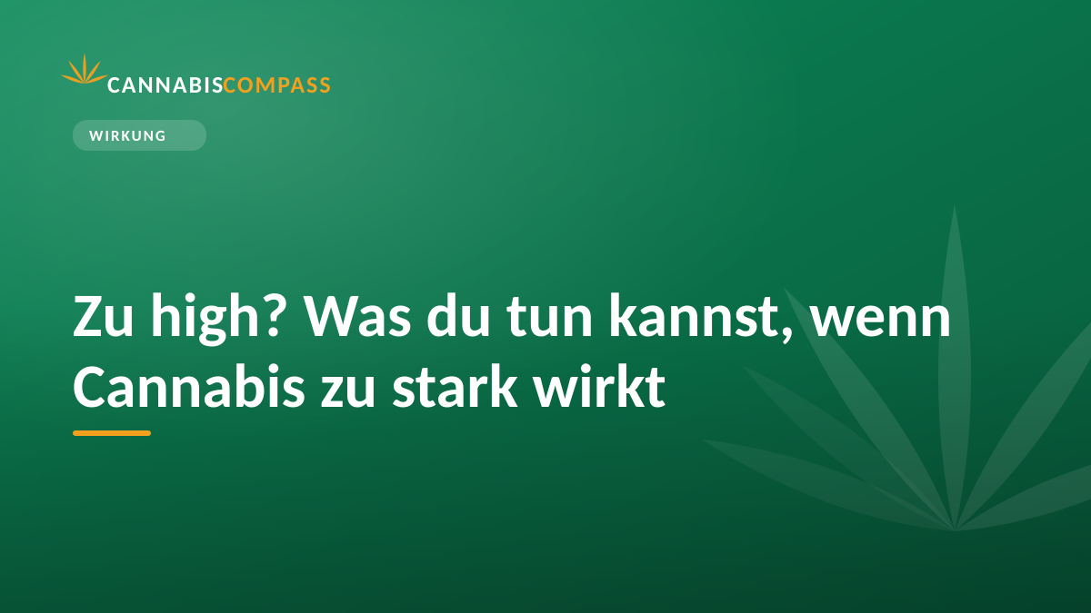 Zu high? Was du tun kannst, wenn Cannabis zu stark wirkt