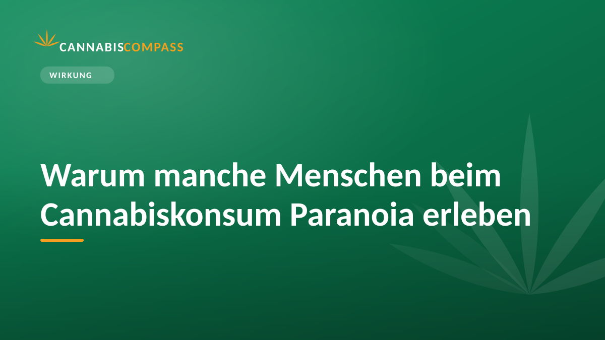 Warum manche Menschen beim Cannabiskonsum Paranoia erleben