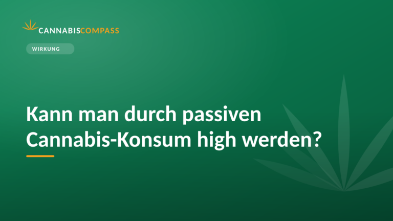 Kann man durch passiven Cannabis-Konsum high werden? 15 Kann man durch passiven Cannabis-Konsum high werden?