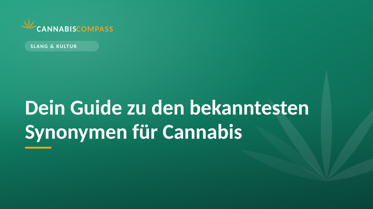 Dein Guide zu den bekanntesten Synonymen für Cannabis