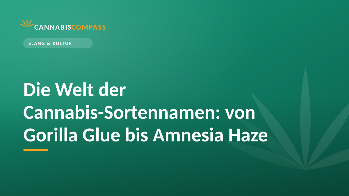 Die Welt der Cannabis-Sortennamen: von Gorilla Glue bis Amnesia Haze