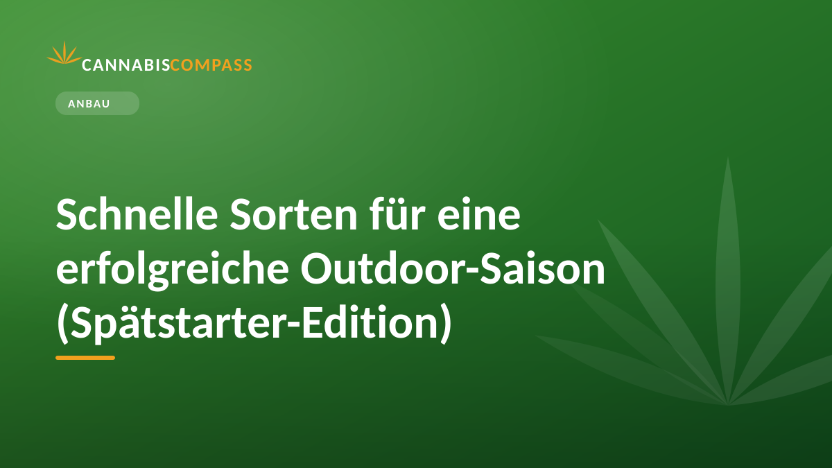 Schnelle Sorten für eine erfolgreiche Outdoor-Saison (Spätstarter-Edition)