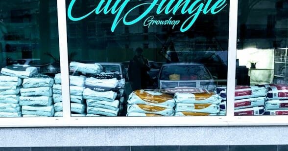 cityjungle duesseldorf 1