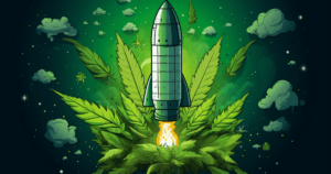 critical kush main