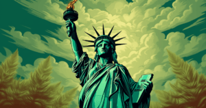 new york kush main
