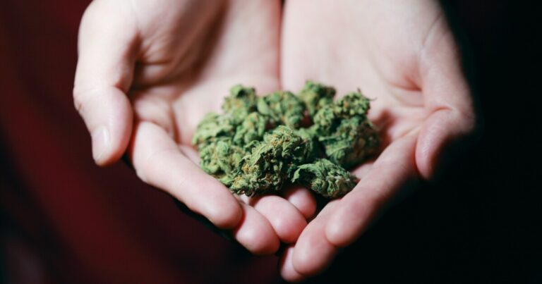 Was soll ich beim Konsum von Cannabis beachten und warum? 5 pexels alexander grey 3676962