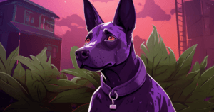 purple dog bud main