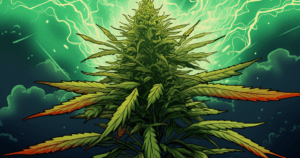 super haze x amnesia main